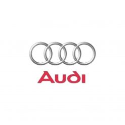 TBRACING  SUPER RACING 3-Way Audi Stoßdämpfer