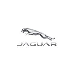 TBRACING  SUPER RACING 3-Way Jaguar Stoßdämpfer